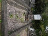 image of grave number 835042